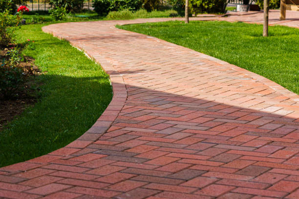 Best Driveway Paving Near Me  in Bloomville, OH